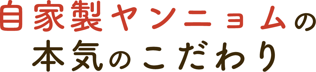 自家製キムチ醬の本気のこだわり