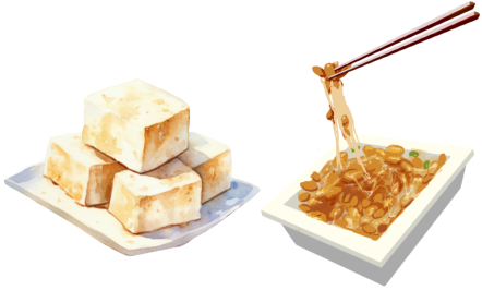 納豆と豆腐のイラスト